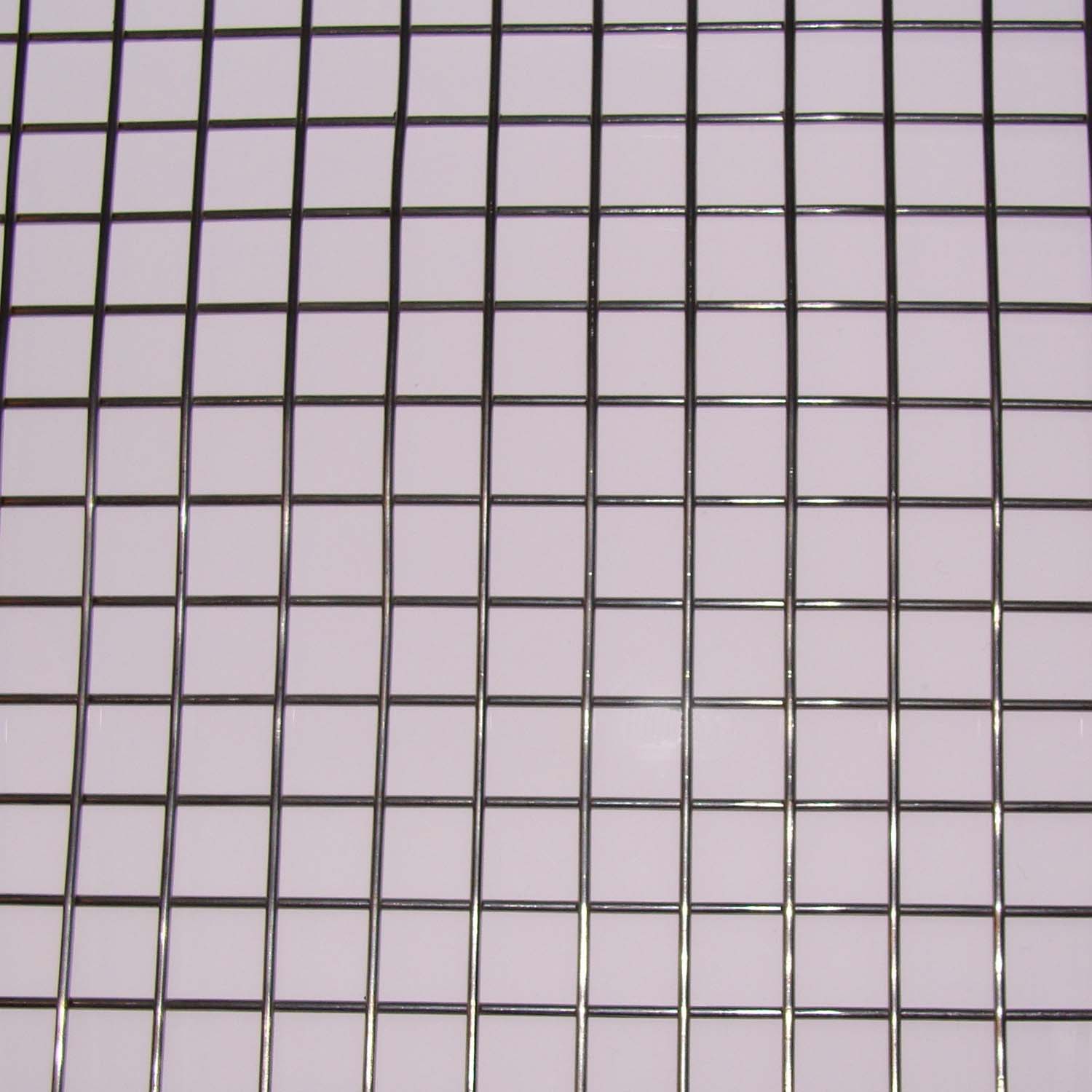 W025 Stainless Steel Welded Wire Mesh Sheet: 25mm Openings